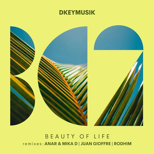 Dkeymusik - Beauty of Life [BC2386]